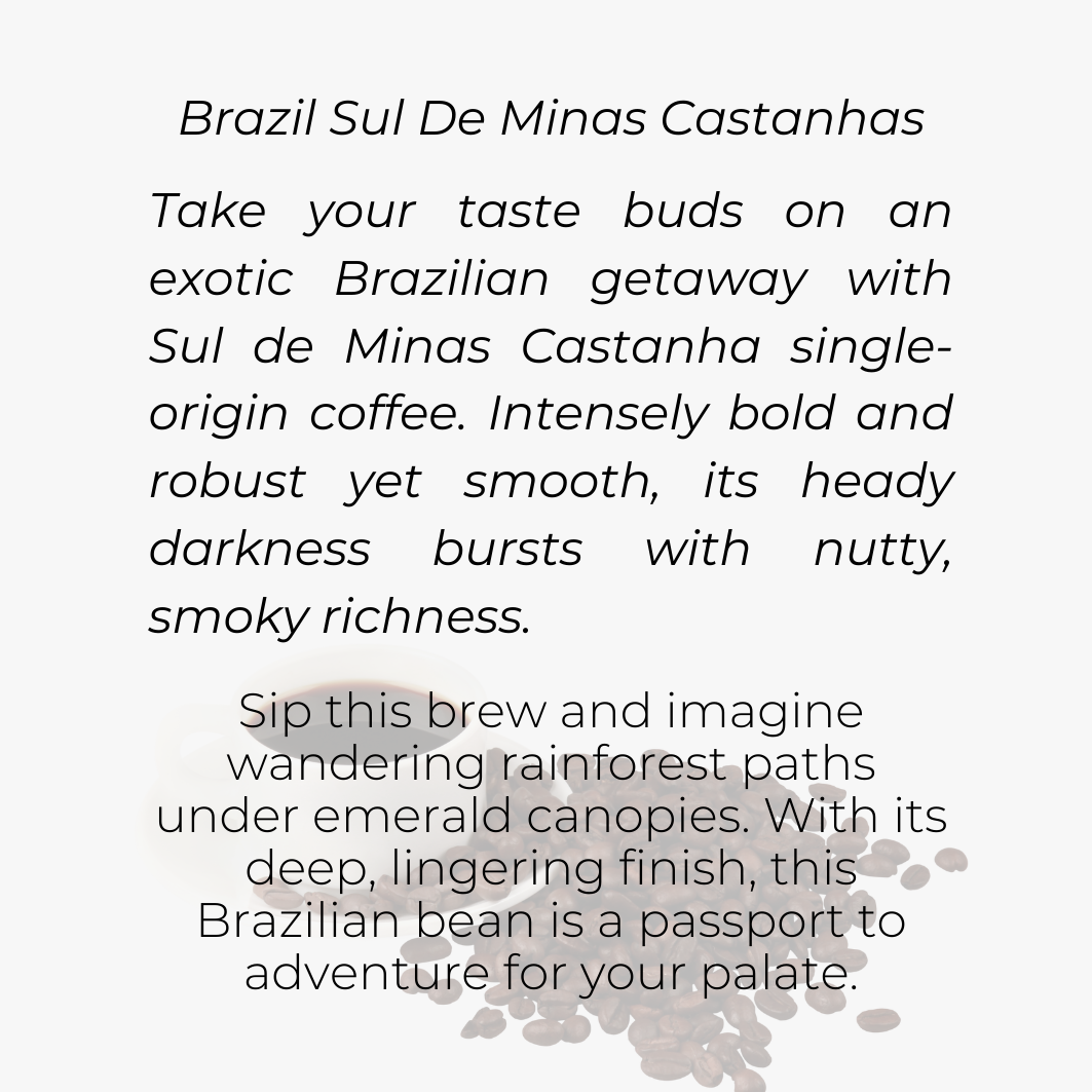Brazil Sul De Minas Castanhas