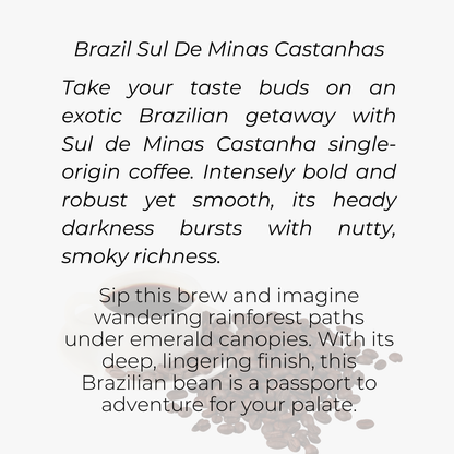 Brazil Sul De Minas Castanhas